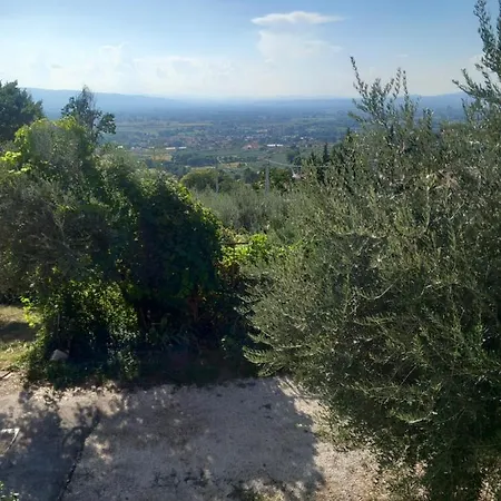 Casaviolina *